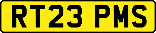 RT23PMS