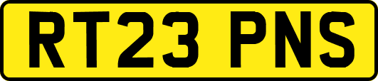 RT23PNS