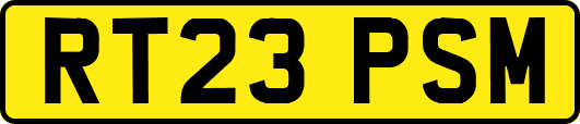 RT23PSM
