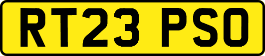 RT23PSO