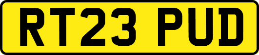 RT23PUD
