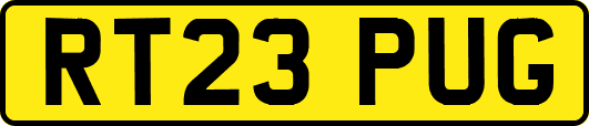 RT23PUG