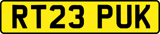 RT23PUK