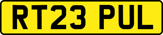 RT23PUL