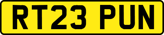 RT23PUN