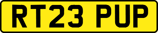 RT23PUP