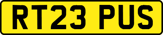 RT23PUS