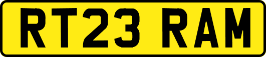 RT23RAM