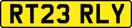 RT23RLY