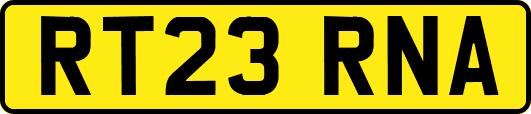 RT23RNA