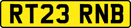 RT23RNB