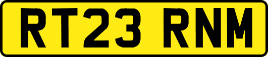 RT23RNM