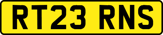 RT23RNS
