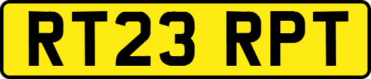 RT23RPT