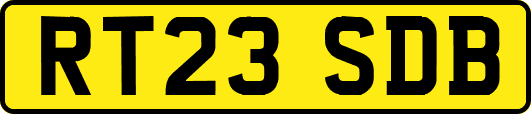 RT23SDB