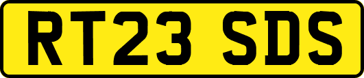 RT23SDS