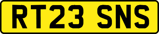 RT23SNS
