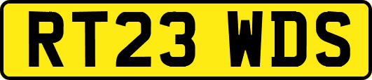 RT23WDS