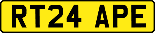 RT24APE