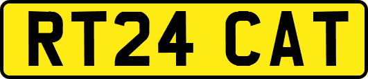 RT24CAT