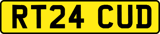 RT24CUD