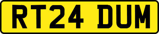 RT24DUM