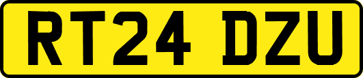 RT24DZU