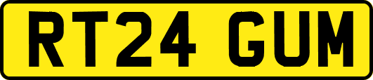 RT24GUM