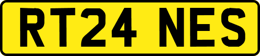 RT24NES