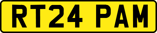 RT24PAM