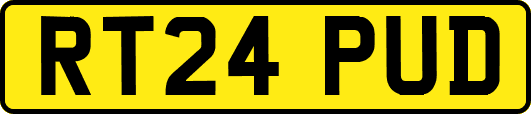 RT24PUD