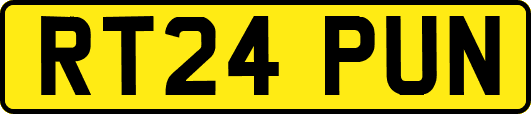 RT24PUN