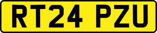 RT24PZU