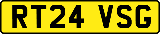 RT24VSG