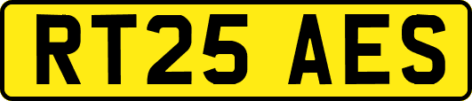 RT25AES