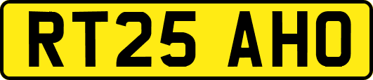 RT25AHO