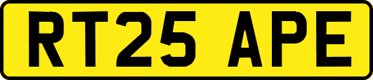 RT25APE