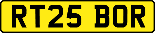 RT25BOR