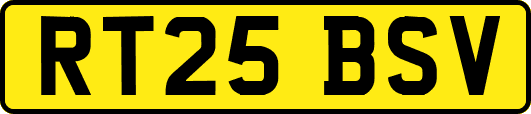 RT25BSV