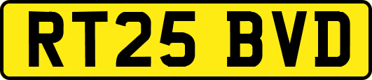 RT25BVD