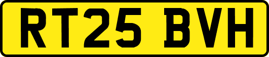 RT25BVH