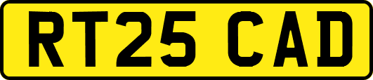 RT25CAD