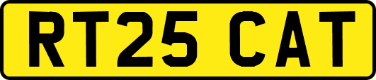 RT25CAT