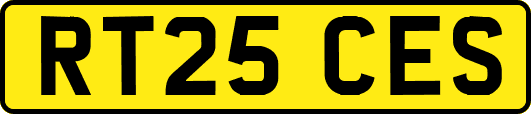 RT25CES
