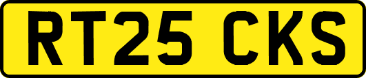 RT25CKS