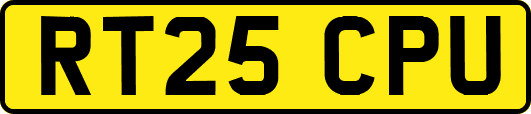 RT25CPU