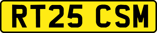 RT25CSM