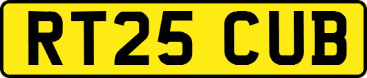 RT25CUB