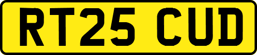 RT25CUD