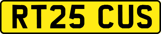 RT25CUS